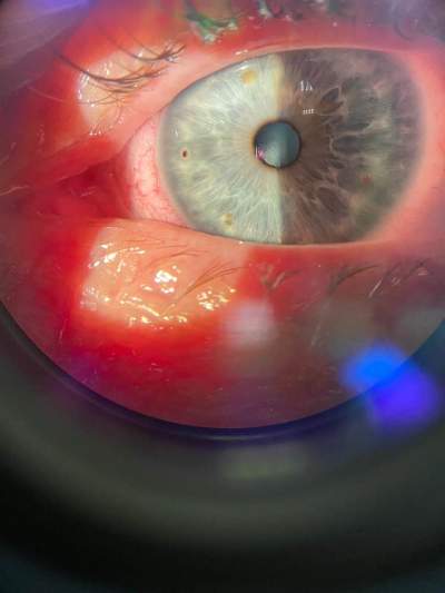 02a774f7 f1a9 4af9 b590 fbf4f113b192