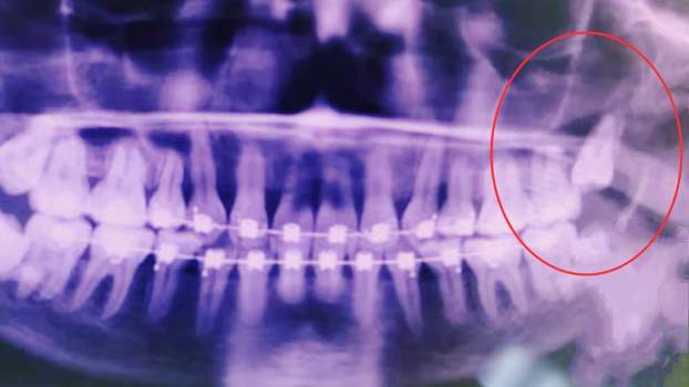 0dc7fcc8 dc22 43d6 a0e3 61b81183855b