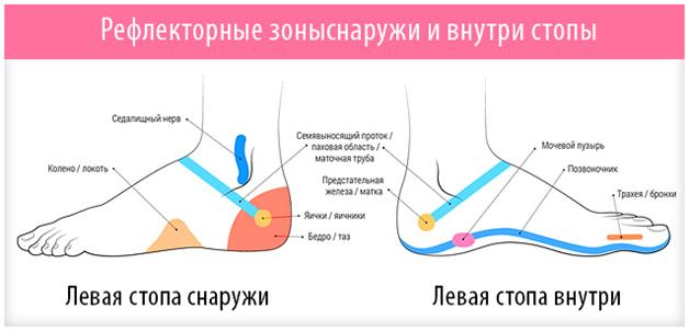 Расположение стоп у женщин Массаж стоп