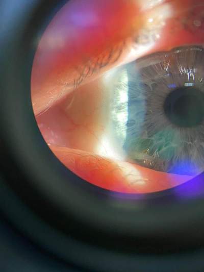 1c4b8ebc 838c 4907 bc5e bd86dc22e0e1 3