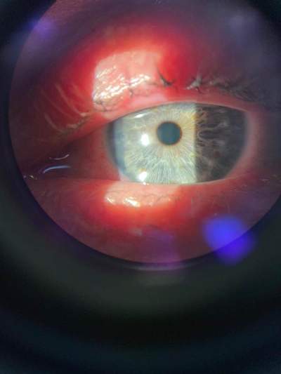 5e9c96ad c6d6 4950 96cd fff200e70c6d