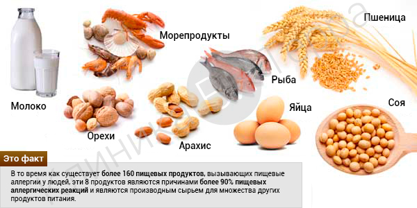 Аллергены пищевые картинки