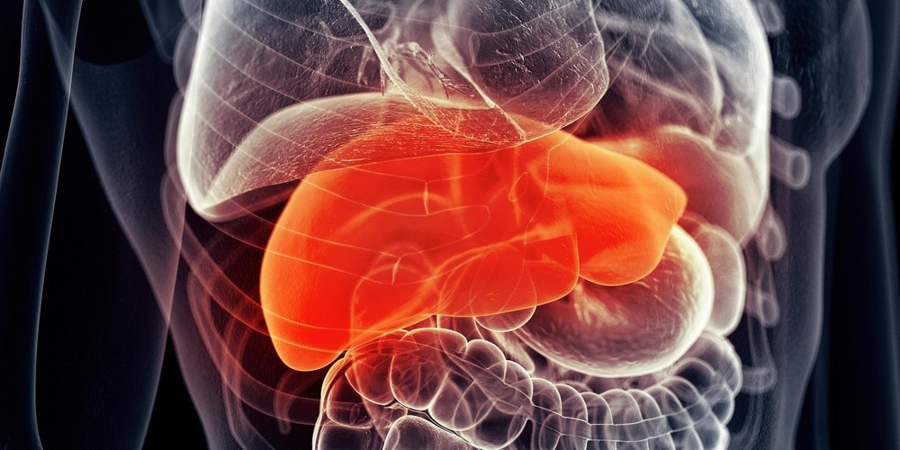 https 2F2Fcdn.evbuc.com2Fimages2F223589892F1532930069052F12Foriginal