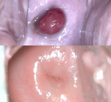 mobile 20191217 125549