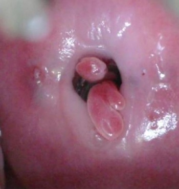 mobile 20191217 125558