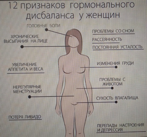 mobile 20200227 0913431