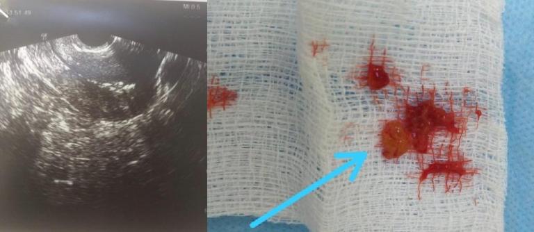 mobile 20201103 134508 2