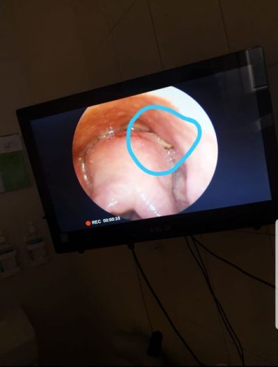 mobile file 2019 12 12 20 20 42