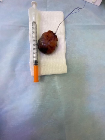 mobile file 2020 12 29 12 08 18