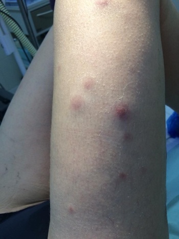 mobile file 2021 02 01 06 00 17 1