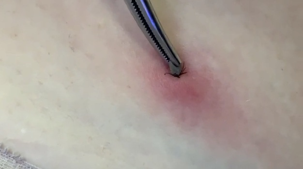 mobile file 2021 05 08 15 01 03