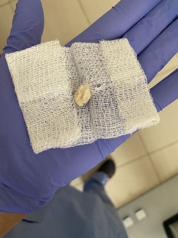 mobile file 2021 05 13 06 51 13