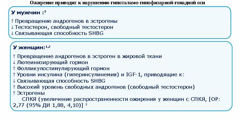 sterh02 4