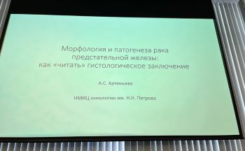 m_s_23_6.jpg