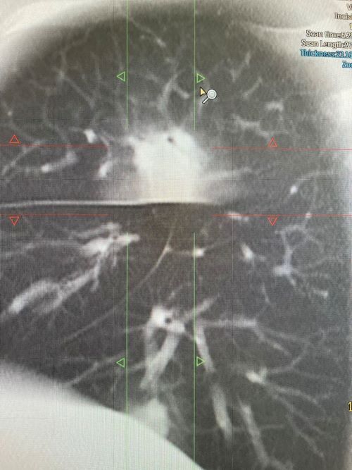 mobile_file_2024-03-05_12-51-54 (4).jpg