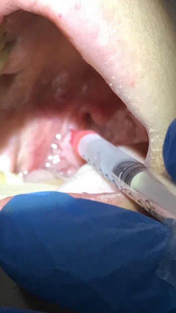 mobile_file_2021-09-21_08-34-52 (3).jpg