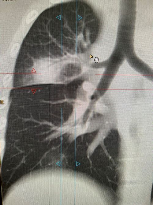 mobile_file_2024-03-05_12-51-54 (3).jpg