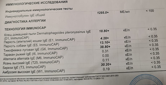 полип носа история болезни. Смотреть фото полип носа история болезни. Смотреть картинку полип носа история болезни. Картинка про полип носа история болезни. Фото полип носа история болезни