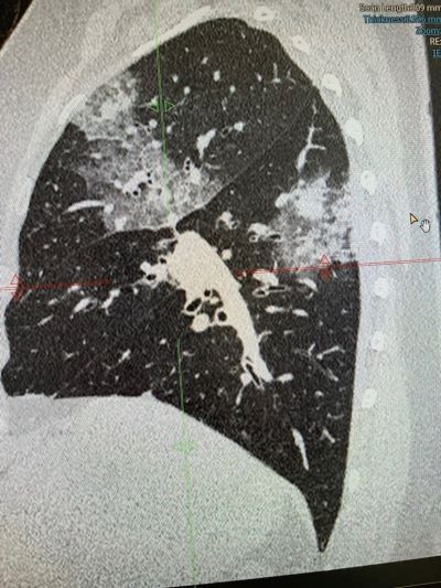 mobile_file_2022-08-22_06-41-41. (3).jpg