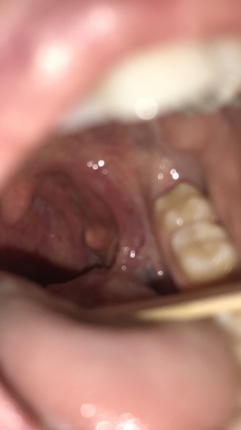 mobile_file_2021-09-21_08-34-52 (1).jpg