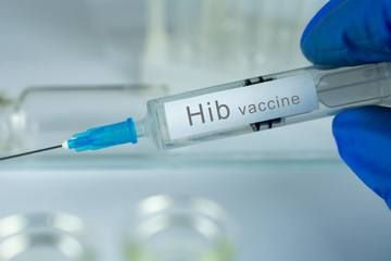 Haemophilus-influenzae-disease_B_3.jpg Haemophilus-influenzae-disease_B_3.jpg