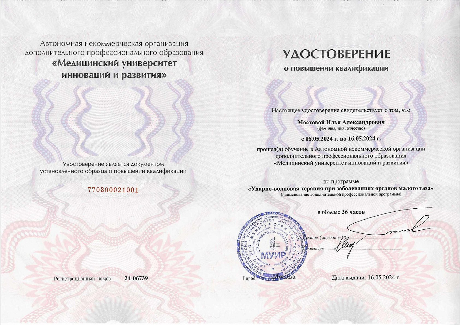 Мостовой Илья Александрович